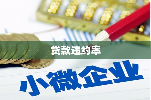 南充贷款违约率