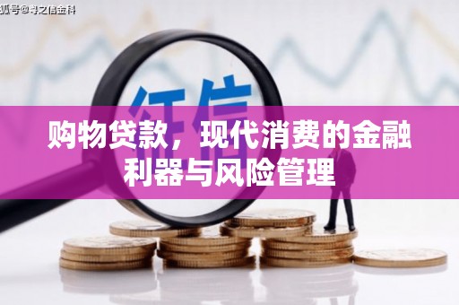 南充购物贷款，现代消费的金融利器与风险管理