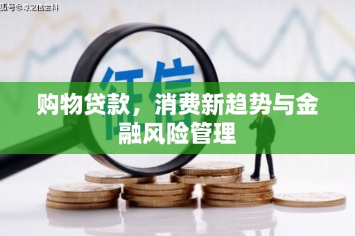 南充购物贷款，消费新趋势与金融风险管理