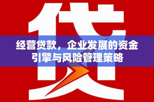 南充经营贷款，企业发展的资金引擎与风险管理策略
