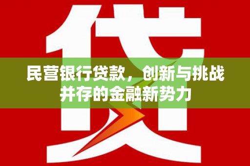 南充民营银行贷款，创新与挑战并存的金融新势力