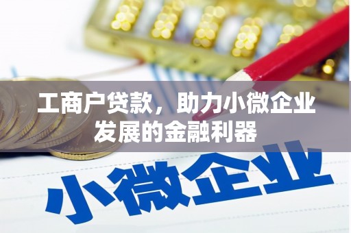 南充工商户贷款,助力小微企业发展的金融利器 南充工商户贷款,助力小微企业发展的金融利器