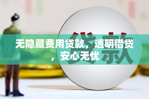 南充无隐藏费用贷款，透明借贷，安心无忧