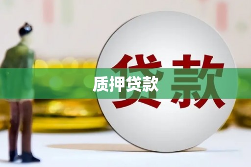 南充质押贷款