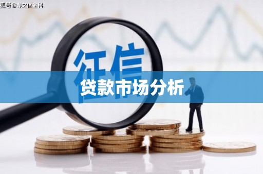 南充贷款市场分析