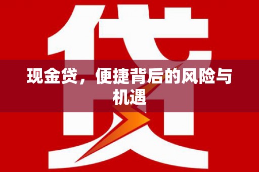 南充现金贷，便捷背后的风险与机遇