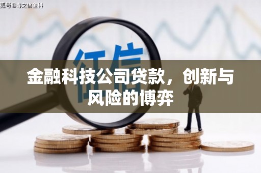 南充金融科技公司贷款，创新与风险的博弈