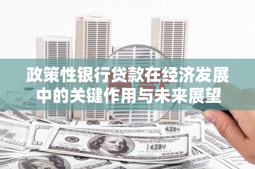南充政策性银行贷款在经济发展中的关键作用与未来展望