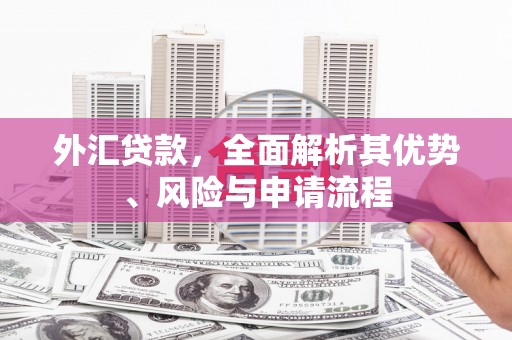 南充外汇贷款，全面解析其优势、风险与申请流程