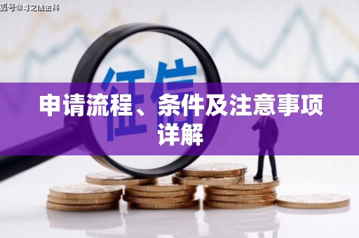 南充申请流程、条件及注意事项详解