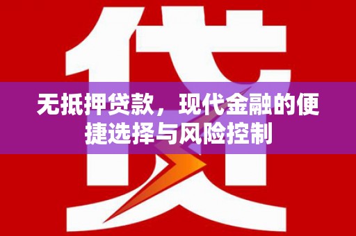 南充无抵押贷款，现代金融的便捷选择与风险控制