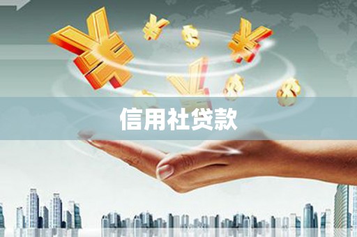 南充信用社贷款