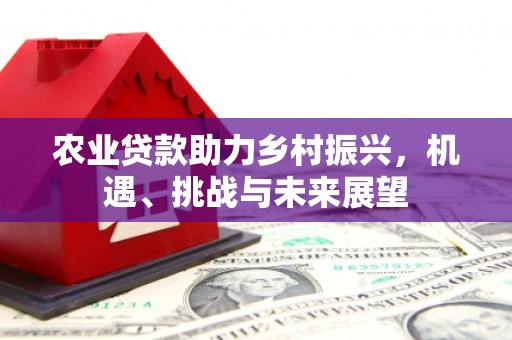 南充农业贷款助力乡村振兴，机遇、挑战与未来展望