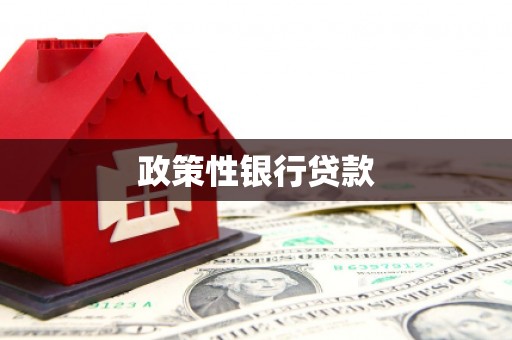 南充政策性银行贷款