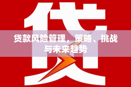 南充贷款风险管理，策略、挑战与未来趋势