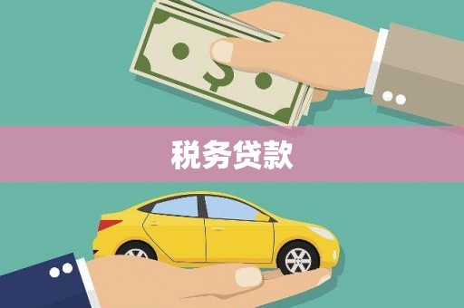 南充税务贷款