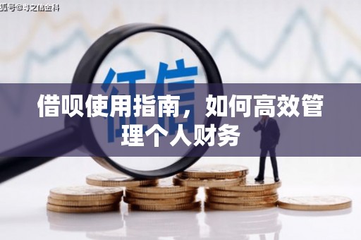 南充借呗使用指南，如何高效管理个人财务