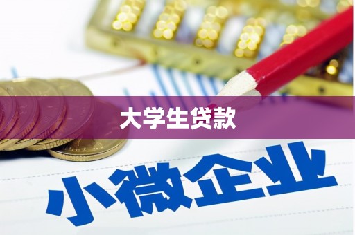 南充大学生贷款