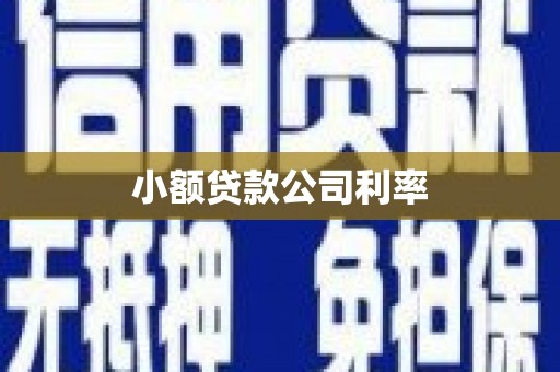 南充小额贷款公司利率