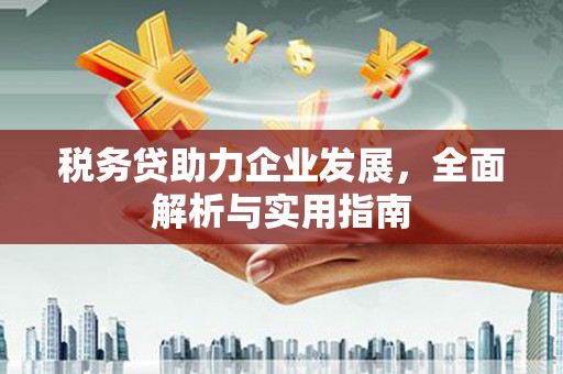 南充税务贷助力企业发展，全面解析与实用指南