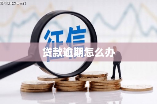 南充贷款逾期怎么办