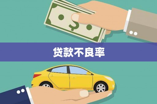 南充贷款不良率
