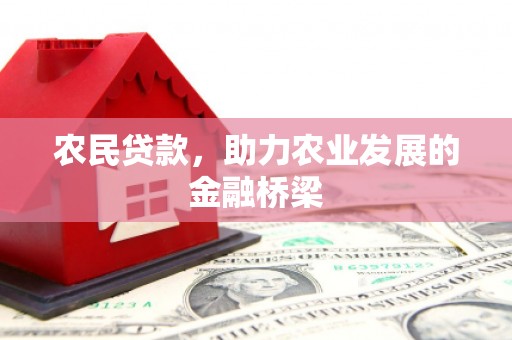 南充农民贷款，助力农业发展的金融桥梁