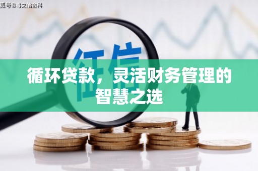 南充循环贷款，灵活财务管理的智慧之选