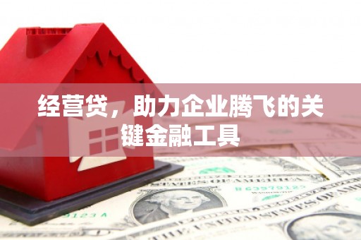 南充经营贷，助力企业腾飞的关键金融工具