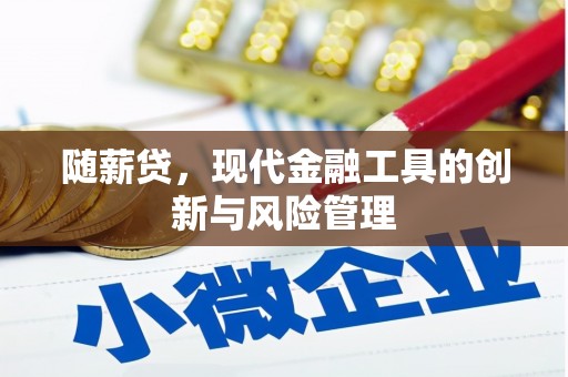 南充随薪贷，现代金融工具的创新与风险管理