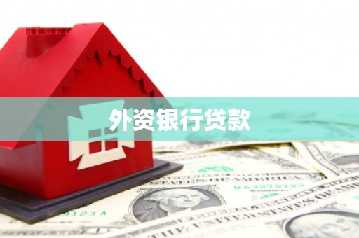南充外资银行贷款