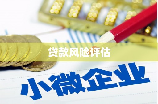 南充贷款风险评估