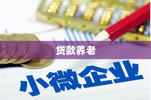 南充贷款养老