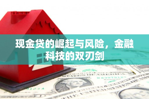 南充现金贷的崛起与风险，金融科技的双刃剑