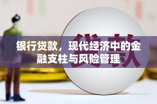 南充银行贷款，现代经济中的金融支柱与风险管理