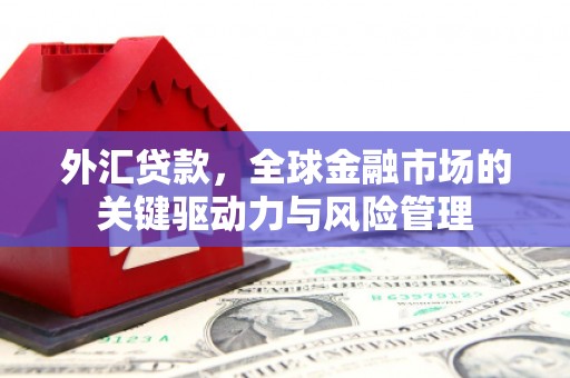 南充外汇贷款，全球金融市场的关键驱动力与风险管理