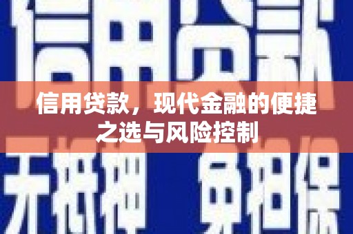 南充信用贷款，现代金融的便捷之选与风险控制