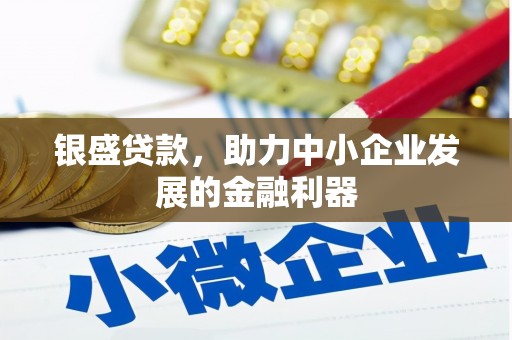 南充银盛贷款，助力中小企业发展的金融利器