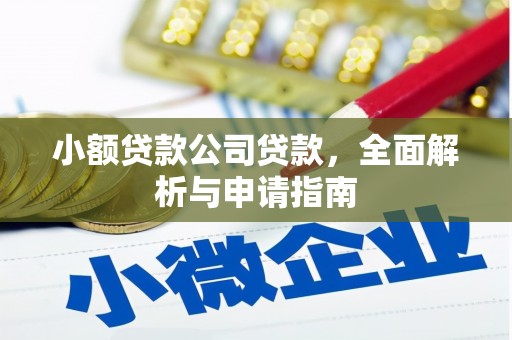 南充小额贷款公司贷款，全面解析与申请指南