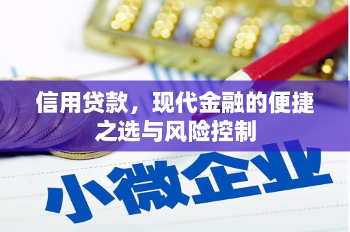 南充信用贷款，现代金融的便捷之选与风险控制