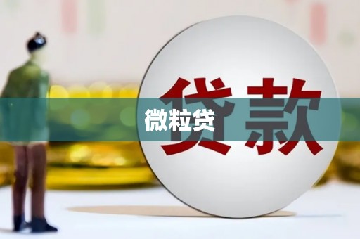 南充微粒贷