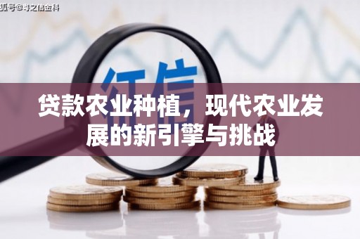 南充贷款农业种植，现代农业发展的新引擎与挑战
