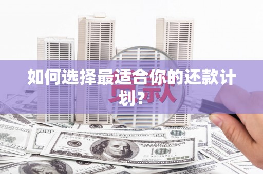 南充如何选择最适合你的还款计划？