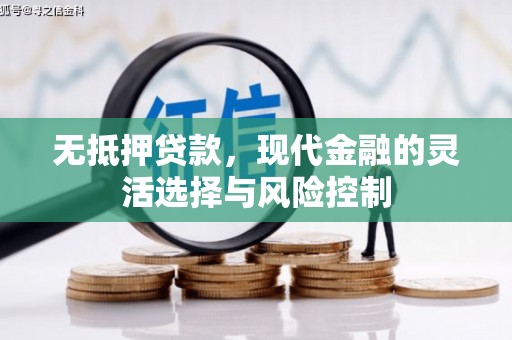 南充无抵押贷款，现代金融的灵活选择与风险控制