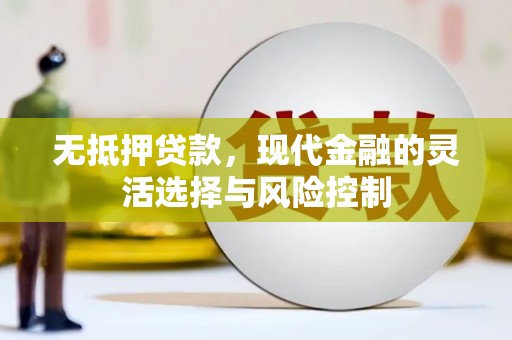 南充无抵押贷款，现代金融的灵活选择与风险控制