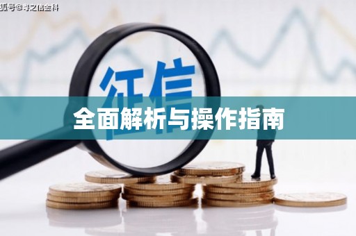 南充全面解析与操作指南