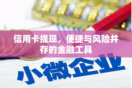 南充信用卡提现，便捷与风险并存的金融工具