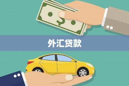 南充外汇贷款