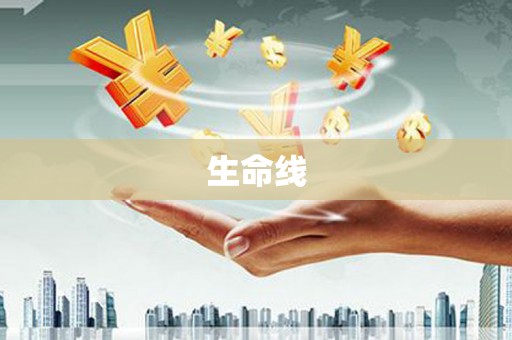 南充生命线