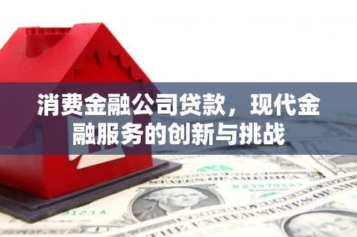 南充消费金融公司贷款，现代金融服务的创新与挑战